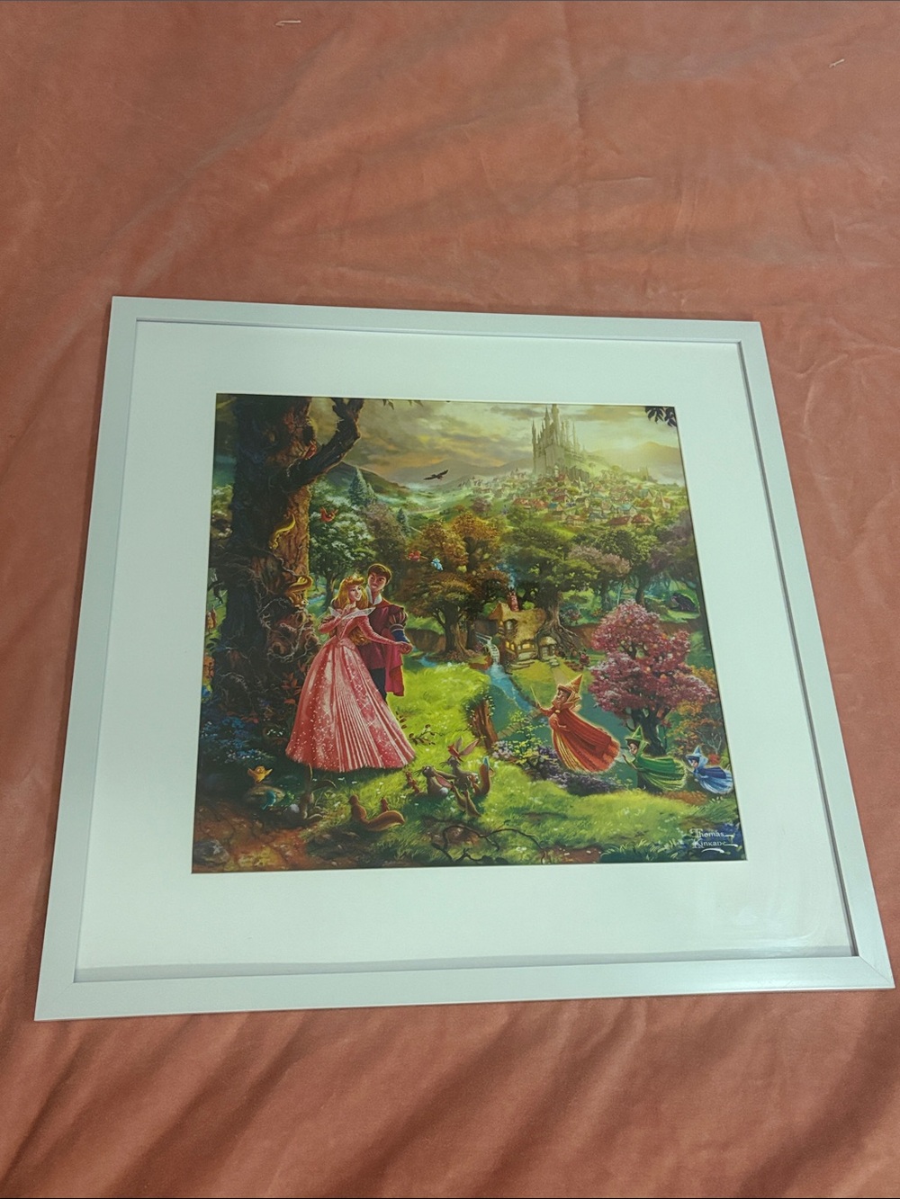 Disney Framed Sleeping Beauty picture